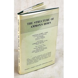 Structure of Ammons Horn